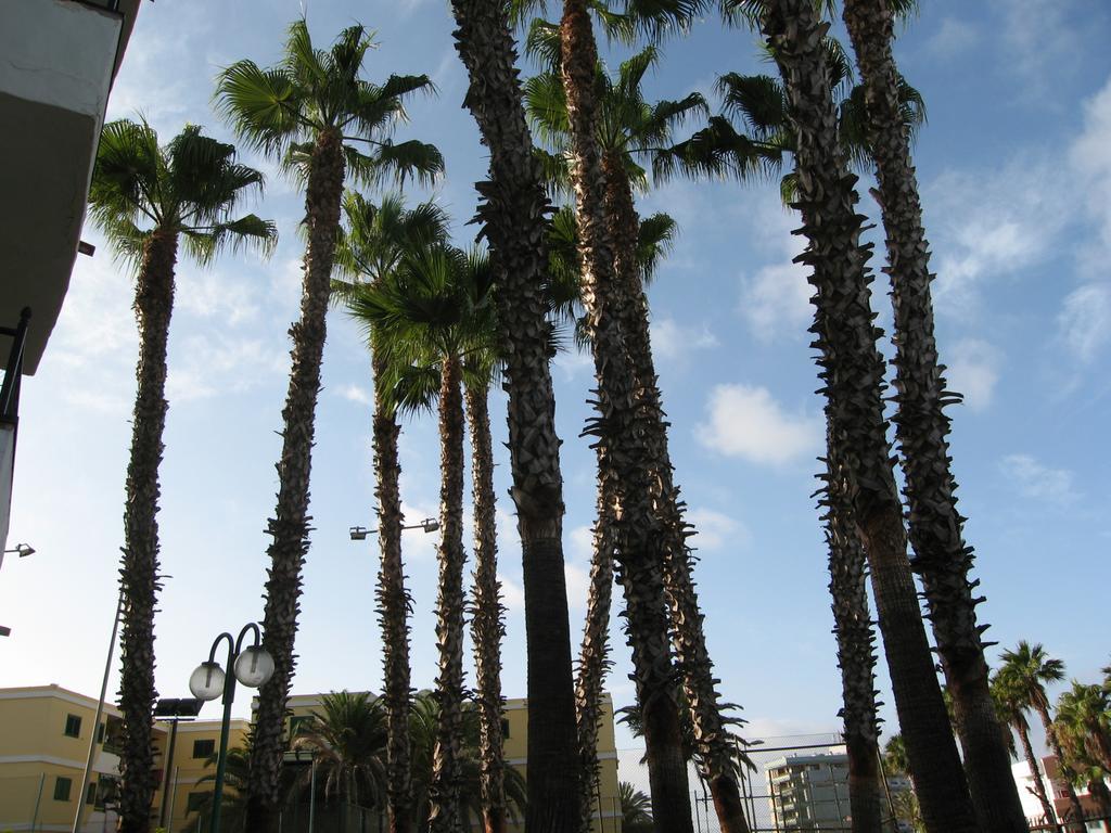 Las Faluas Playa del Inglés Esterno foto